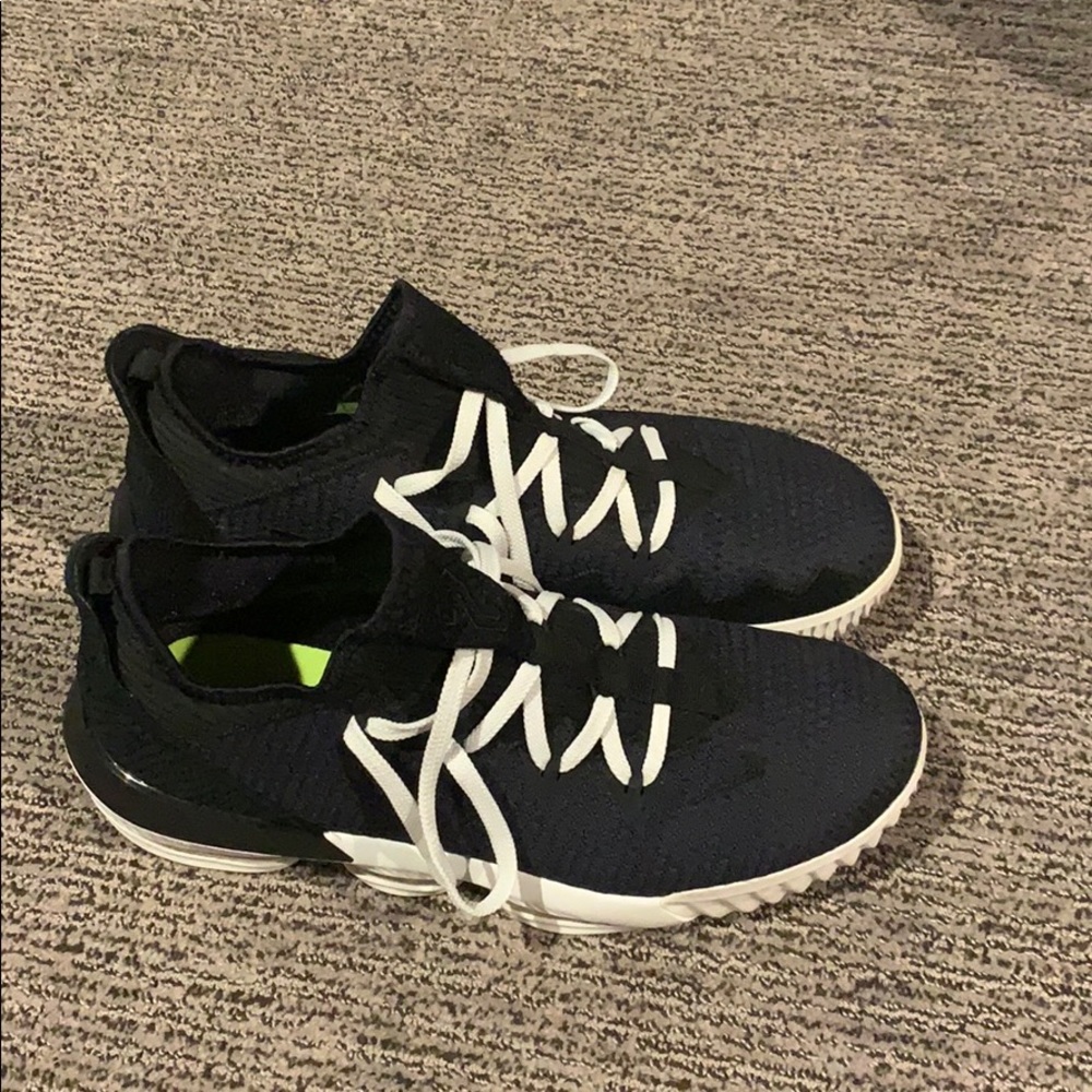 LeBron 16s